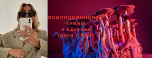 apvp Гусь-Хрустальный