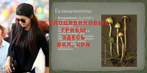 mdpv Покровск