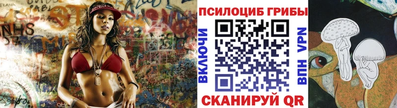продажа наркотиков  Камышлов  Псилоцибиновые грибы Psilocybine cubensis 